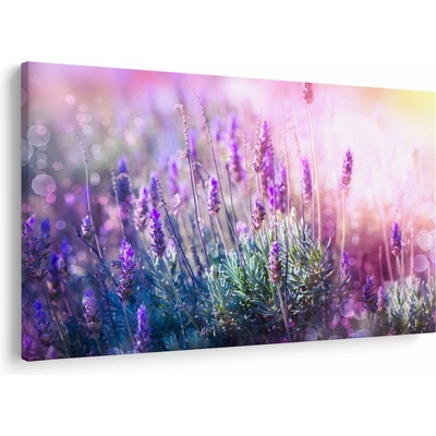 Obraz - Levanduľa vo trblietania slnka, jednodielne 150x100 cm