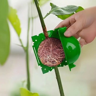 Plastová guľa na zakoreňovanie rastlín