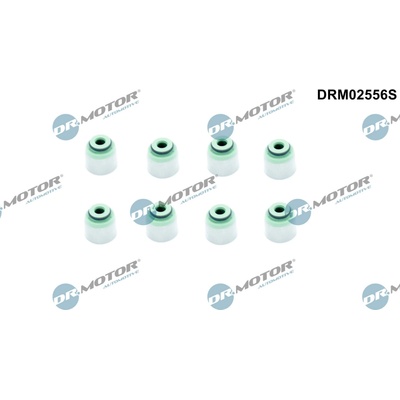 DR.MOTOR AUTOMOTIVE Sada tesnení drieku ventilu DRM02556S