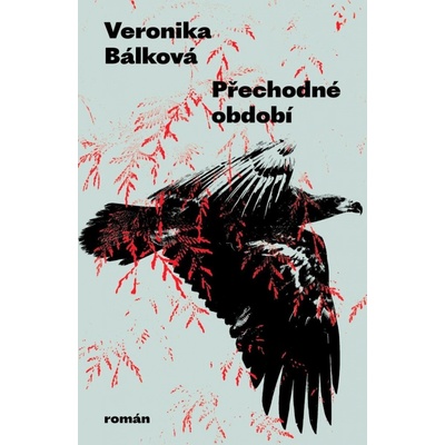 Přechodné období - Veronika Bálková