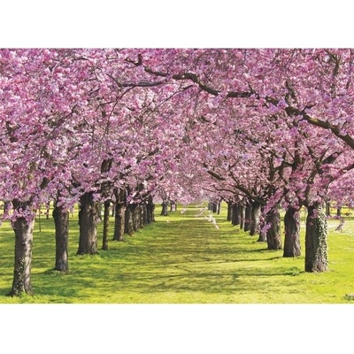 Preinterier FT0036 Fototapeta na stenu Ružové stromy vlies 104cm x 70cm