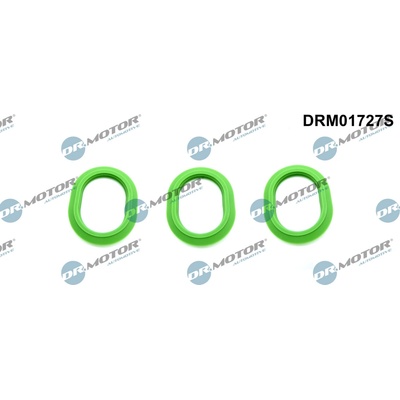 DR.MOTOR AUTOMOTIVE Sada tesnení kolena nasávacieho potrubia DRM01727S