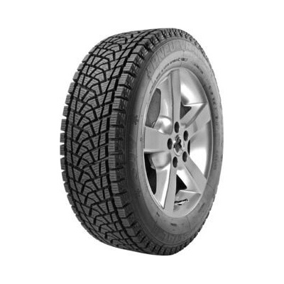 Vraník Ice Special Green Diamond 215/65 R16 98T