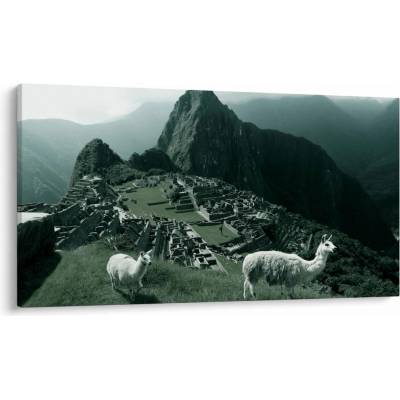 Obraz - Lamy na Machu Picchu v Peru, jednodielne 120x70 cm