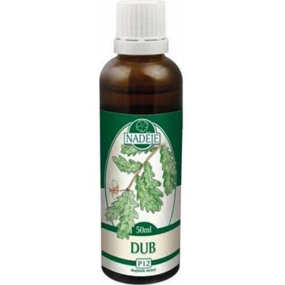 Naděje tinktúra z púčikov dub letný P12 50 ml
