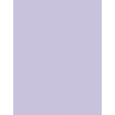 Sally Hansen lak na nehty Hard As Nails Xtreme Wear Nail Color 270 Lacey Lilac 11,8 ml