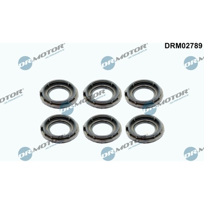 DR.MOTOR AUTOMOTIVE Tesnenie veka hlavy valcov DRM02789