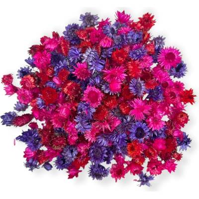 Sušené slamienky - hlavičky Helichrysum 100g - fialovo cyklaménove