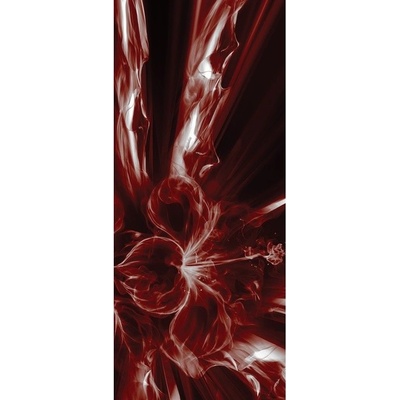 Preinterier Fototapeta - DV0689 - samolep. fólia - 91cm x 211cm