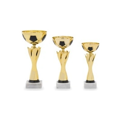Pohár fotbal PS 22523.1