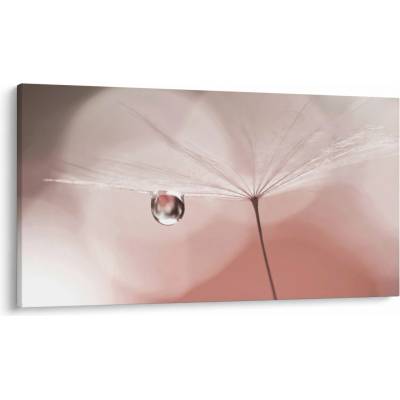 Obraz - Kvapka rosy, jednodielne 120x70 cm