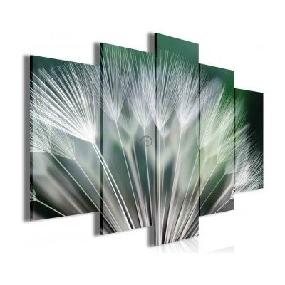 Obraz na plátne viacdielny - OB3416 - Púpava 100cm x 60cm - S17