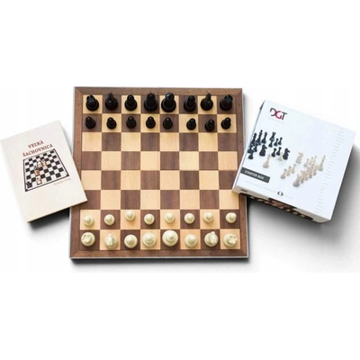 DGT Chess Starter Box Grey