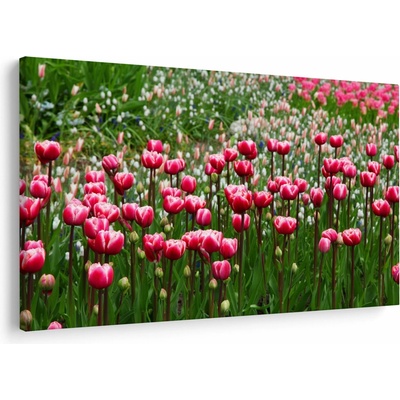 Obraz tulipánů, jednodílný 120x80 cm