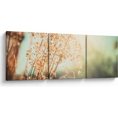 Obraz - Rostliny po dešti, třídílný 90x30 cm