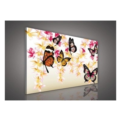 Obraz na plátne obdĺžník - OB1064 - Motýle 100cm x 75cm - O1