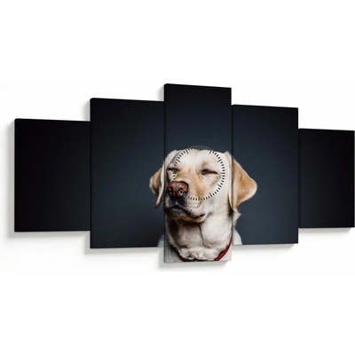 Obraz labradora (s hodinami), päťdielne 150x80 cm s hodinami