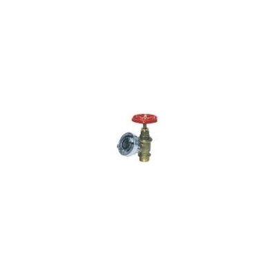 Pavliš & Hartmann Hydrant nástěnný Ms D25 PN10 ventil 3/4" se spojkou Al vv106 – Hledejceny.cz