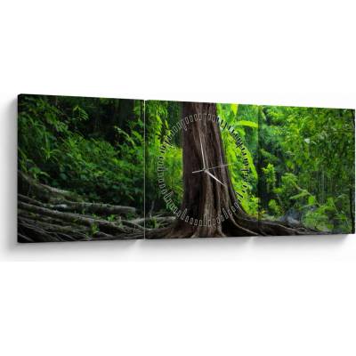 Obraz - Starý strom s koreňmi (s hodinami), trojdielne 90x30 cm s hodinami