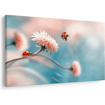 Obraz - Berušky na květu, jednodílný 120x80 cm