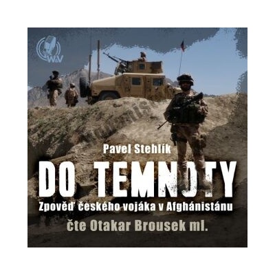 Do temnoty - Pavel Stehlík