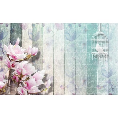 Preinterier FT5081 Fototapeta na stenu Vintage vlies 152cm x 104cm