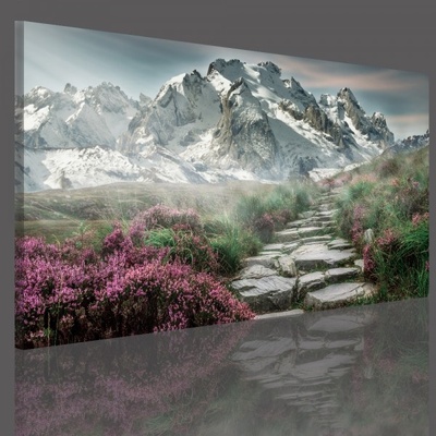 Divio Obraz na plátně hory, vzor 15063 Velikost: 40x80 cm
