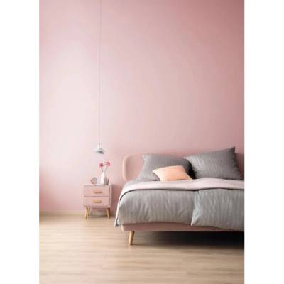 Schöner Wohnen Designer Paints Subtle Crystal Pink Matte 2,5l