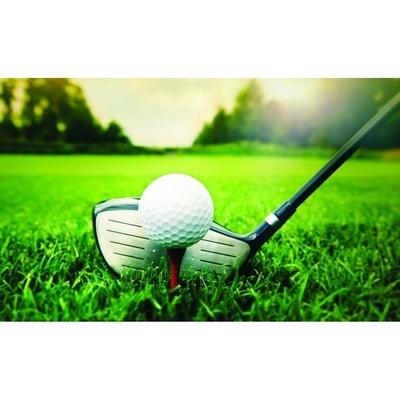 Preinterier FT3509 Fototapeta na stenu Golf vlies 104cm x 70cm