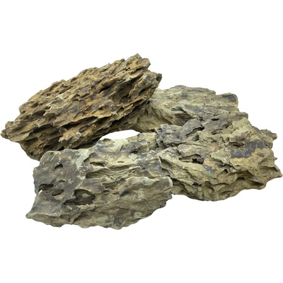 Invital Dragon Stone 6285 g Z01718