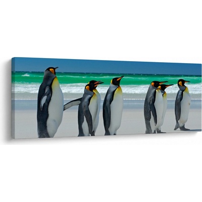Obraz - Skupina královských Tučňáků, jednodílný 100x40 cm