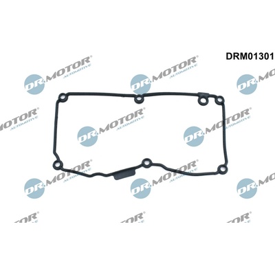 DR.MOTOR AUTOMOTIVE Tesnenie veka hlavy valcov DRM01301