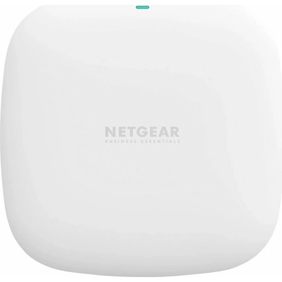 Netgear WAX210-100EUS