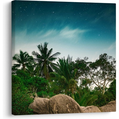 Obraz - palmy, jednodílný 70x70 cm