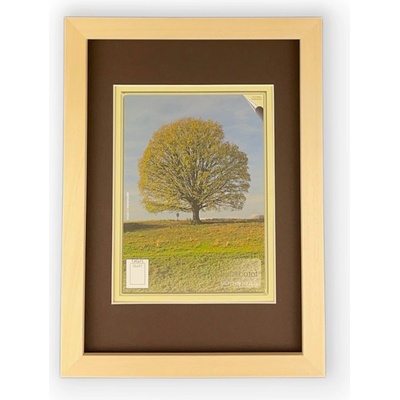 Pasparta Tmavě Hnědá Rozměr: A3 - 29,7 x 42 cm, Vnitřní výřez pasparty (Velikost obrázku): A4 21 x 29,7 cm