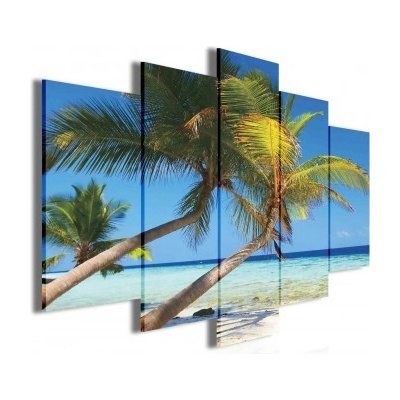 Obraz na plátne viacdielny - OB3433 - Palmy 100cm x 60cm - S17