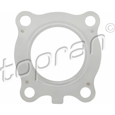 TOPRAN Tesnenie turbodúchadla 305 094
