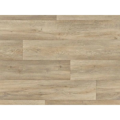 Beaulieu Polo 2111 3 m 1 m²