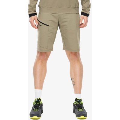 Dynafit Transalper DST Shorts fallen rock