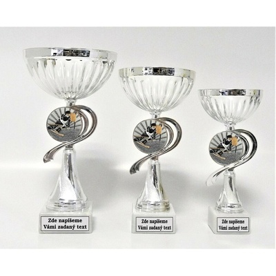 VIZINGR Sjezdové lyžování poháry 503-K057 503-K057/24 cm
