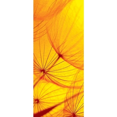 Preinterier DV0219 Fototapeta na stenu Oranžová púpava vlies 91cm x 211cm