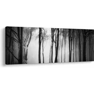 Obraz - Vlk v temném lese, jednodílný 100x40 cm