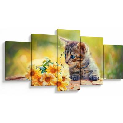 Obraz mačiatka pozerajúce sa na kvetinu (s hodinami), päťdielne 150x80 cm s hodinami