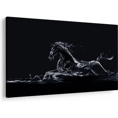 Obraz - Kôň a voda, jednodielne 150x100 cm