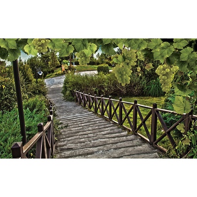 Preinterier FT2767 Fototapeta na stenu Vinohrad vlies 104cm x 70cm
