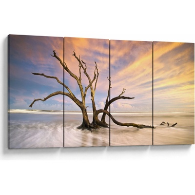 Obraz stromu v oceánu, Čtyřdílný 160x80 cm