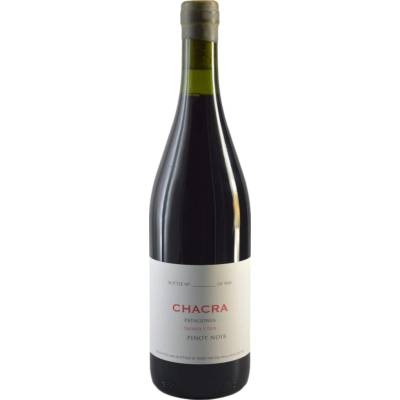 Bodega Chacra Treinta y Dos Pinot Noir 2023 Červené 13.0% 0.75 l (holá láhev)