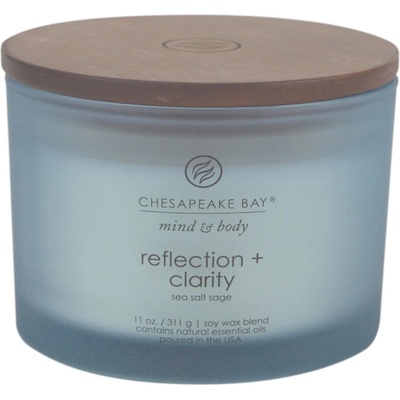 Chesapeake Bay Reflection + Clarity 312 g