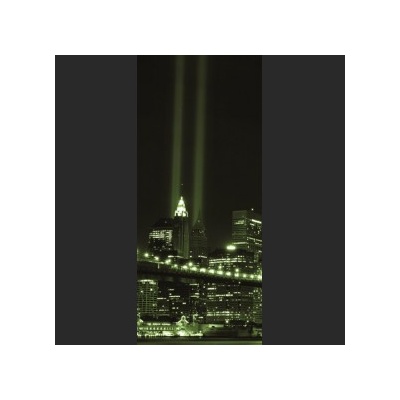 Preinterier DV0114 Fototapeta na stenu Zelený New York vlies 91cm x 211cm