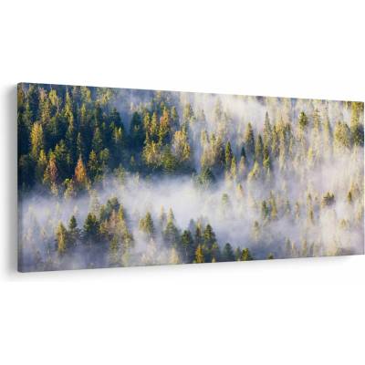 Obraz stromov v hmle, jednodielne 250x125 cm